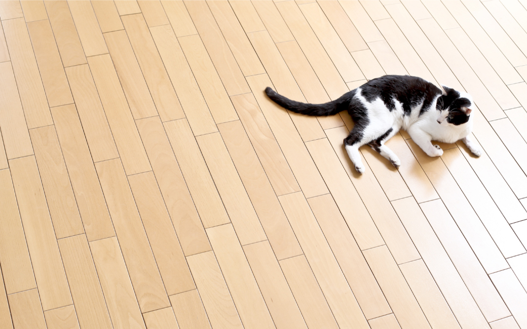 リラックスイメージ